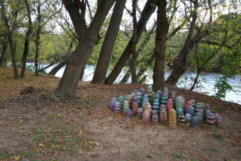 Underbrush